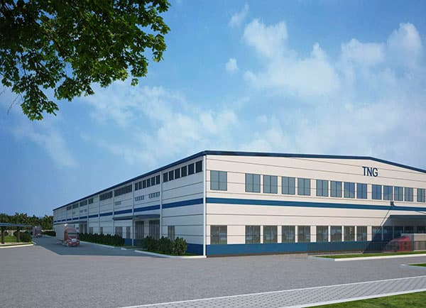 TNG tại Việt Nam